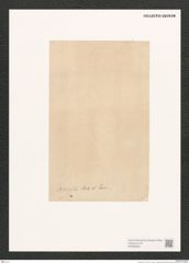 Navicula sp. (de-Toni-Nr.: Genus 1) Zeichnungen Sammlung Grunow (NHMW-BOT-W0368362)